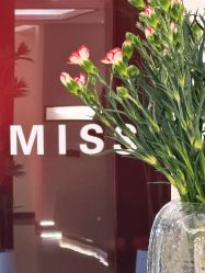 -处女座·MISS VIRGO·半永久纹眉野生眉