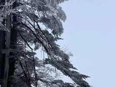 -瓦屋山景区