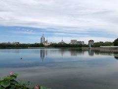 -莲花池公园