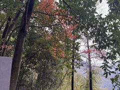 -大慈岩风景区