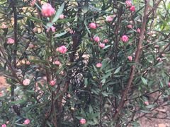 -张江润和国际总部园