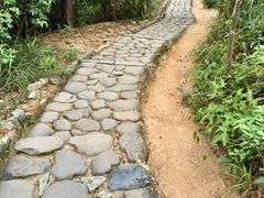 -张钰强中医正骨推拿连锁(唐家人才公寓店)