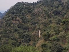 -泰山风景名胜区