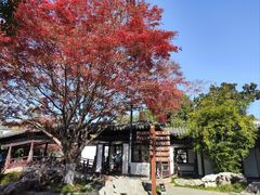 -常熟方塔园