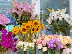 -FEI FEI FLOWER鲜花店·气球派对·宝宝宴布置(虹口德必运动Loft店)