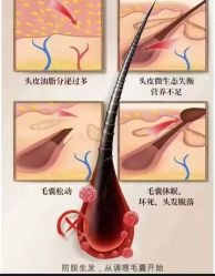 -Bollins波林丝•专研护发中心