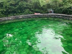 -杭州第一世界大酒店·云曼温泉