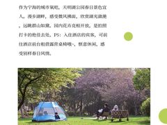 -桑洲油菜花景区