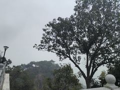 -莫干山风景区
