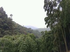 -藏龙百瀑风景区