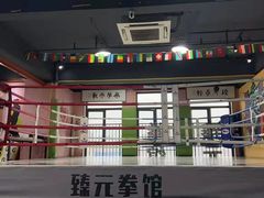 -臻元搏击格斗泰拳拳馆(港隆店)