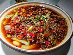 -雲蜀龙阁·金牌水煮鱼(方庄店)