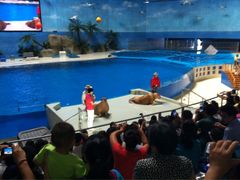 iphone_upload_pic-泉城欧乐堡海洋极地世界