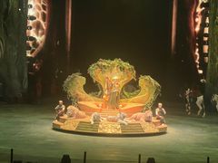 -广州长隆国际大马戏