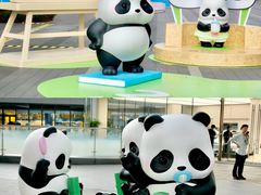 -东莞松山湖万象汇