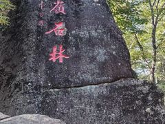 -汤旺河林海奇石景区