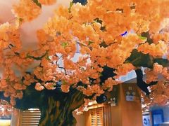 -金石青云炭火烤肉店(中房上东花墅店)