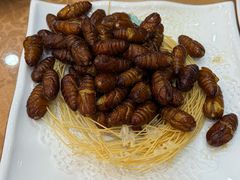 -渔码头食府(蓬莱阁店)
