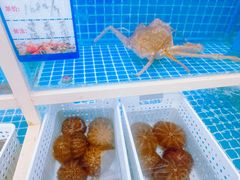 -牛天下·牛肉·海鲜·打边炉·融合菜