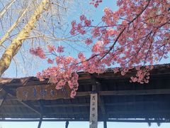 -天龙八部武侠城