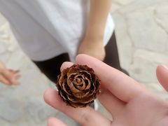 -胖锅轩(水塔店)