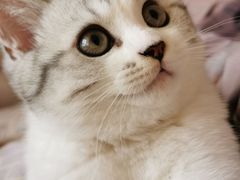 -美迦爱-牙专科·兔科·骨科诊疗中心(北苑店)