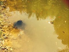 iphone_upload_pic-宁波浙东大竹海景区