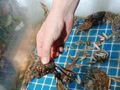 -鑫海汇海鲜烤肉自助(北国商城店)