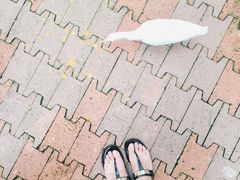 -吉隆坡雀鸟公园