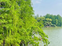 -东湖落雁景区