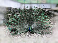 -藏龙百瀑风景区