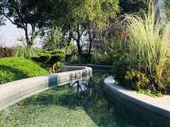 -昆山城市生态森林公园