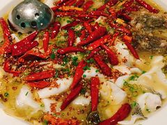 -姚姚酸菜鱼·金戈戈香港豉油鸡(喜荟城联名店)