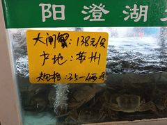 -品鲜村农家菜·阳澄湖大闸蟹(总店)