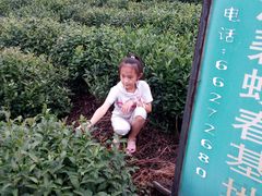 -梨云山居农家乐