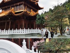 -东天目山风景区