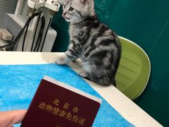 -美迦爱-动物医院·骨科·牙科·夜诊(朝阳路诊疗中心)