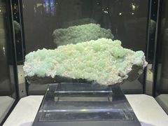 -中国地质大学逸夫博物馆