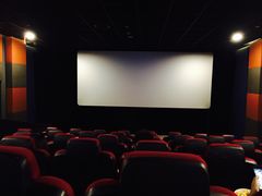 -汇金缪斯影城(八佰伴店)