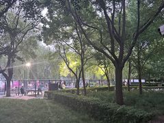 -莲花池公园