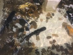 -小乡小镇·传承桐庐土菜·老板亲自烧的菜