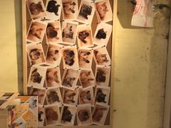 -龙猫仔乐园(惠福东路店)