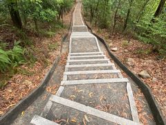 -东莞市大岭山森林公园