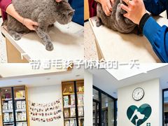 -瑞派康怡24h宠物医院·犬猫医疗中心·微创绝育(瑞景分院)