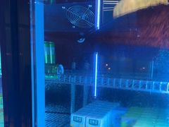 -CIAO·团建聚餐·生日派对轰趴馆(福田店)