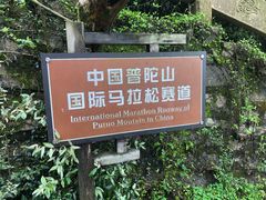 -普陀山风景区-佛顶山