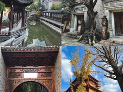 -龙潭水乡