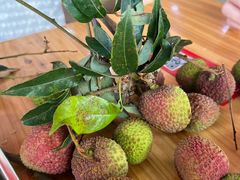 -每日鲜石磨肠粉(潮苑小区店)