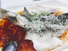 -至潮餐厅精致粤菜·活鲈鱼·走地鸡(珠江新城店)