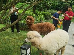 -南宁荔园维景国际酒店·荔园中餐厅